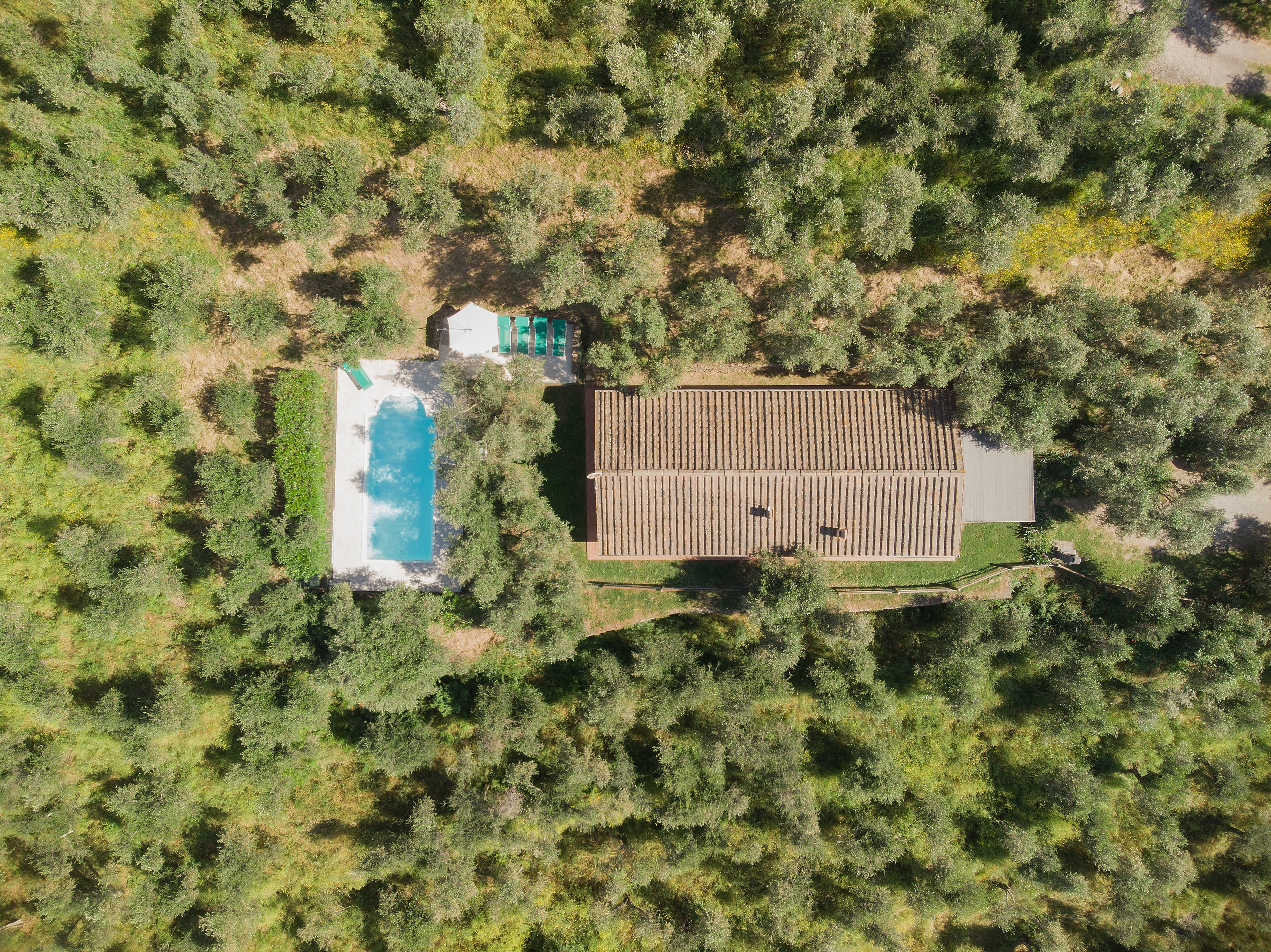 Fico villa at La Pieve