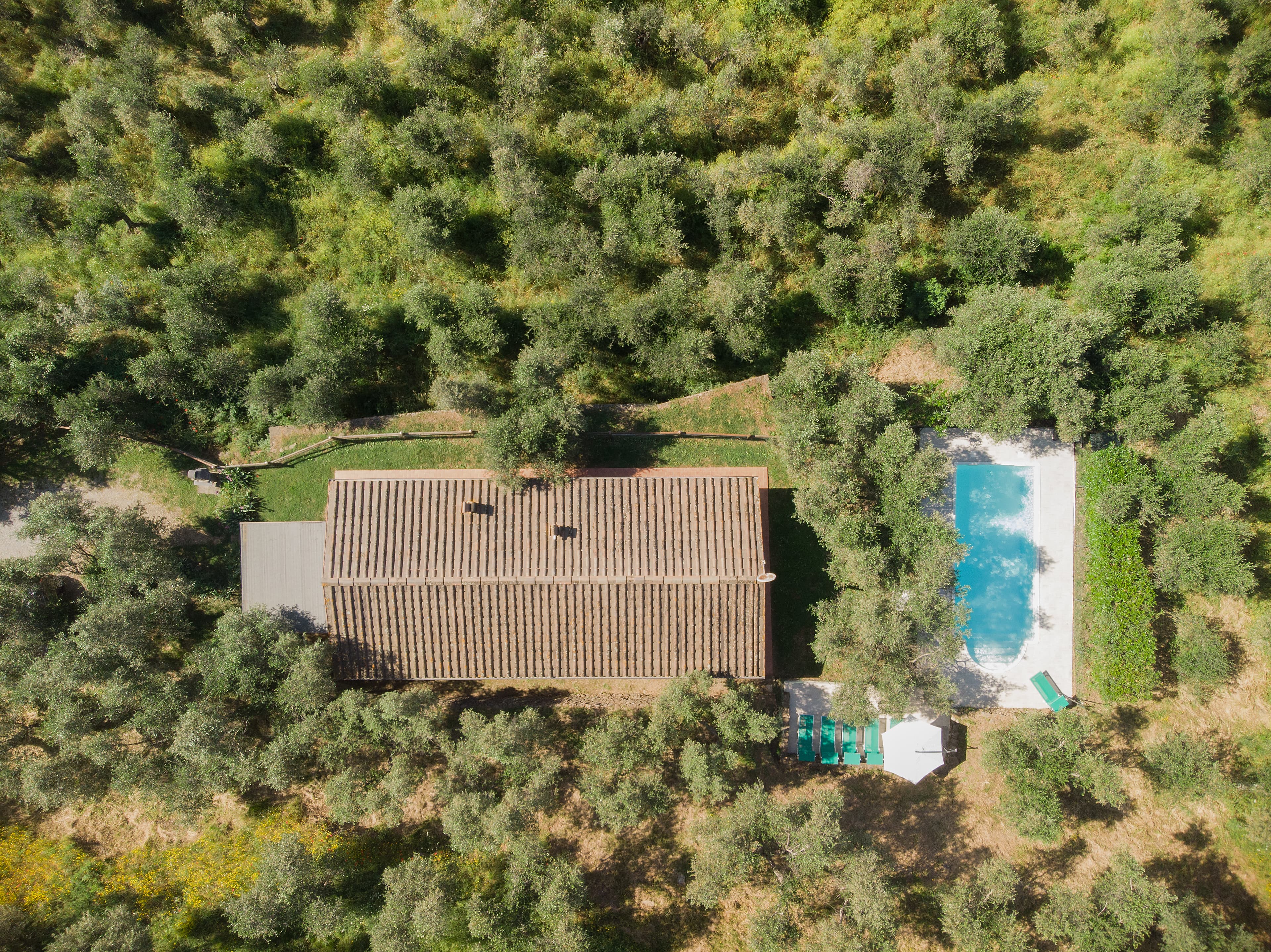Fico villa at La Pieve