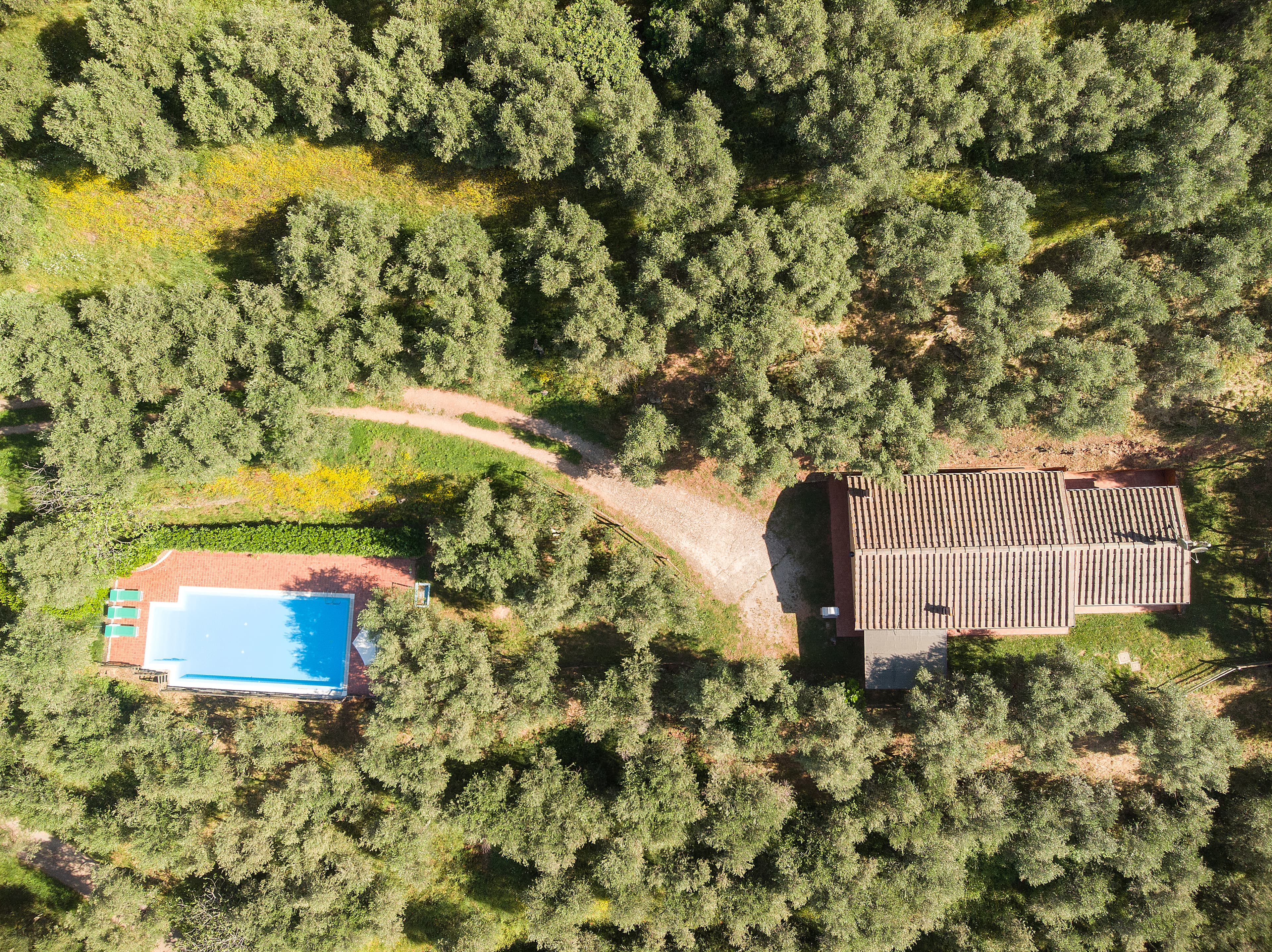 Limone villa at La Pieve