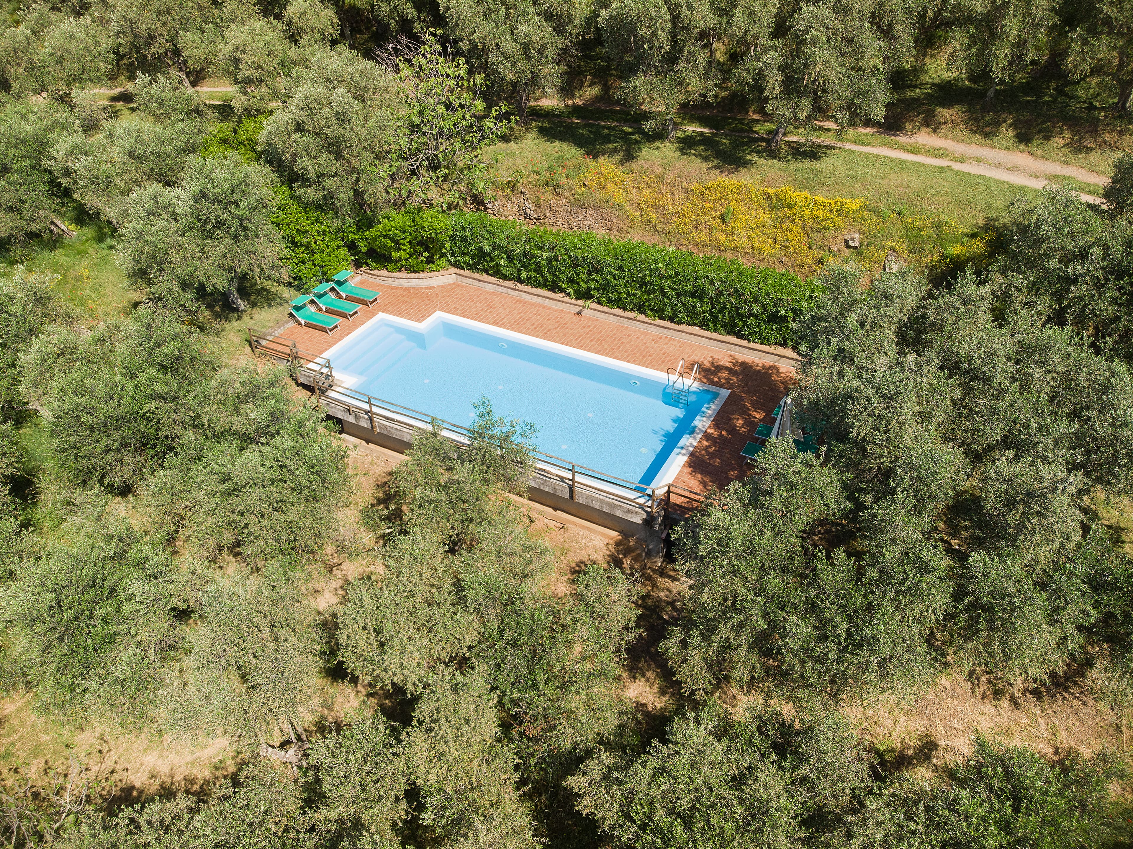 La Pieve, the houses and grounds