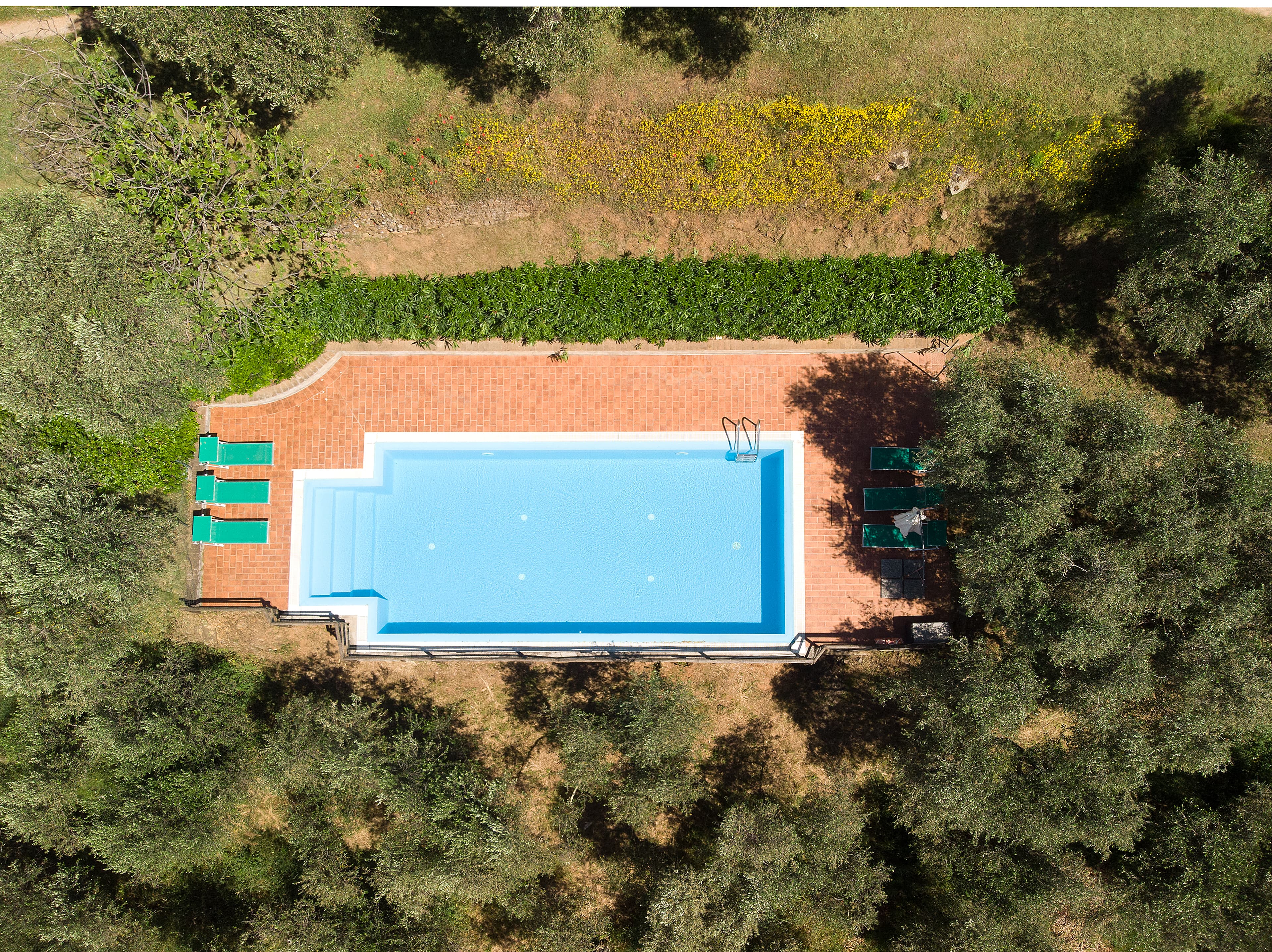 Limone villa at La Pieve