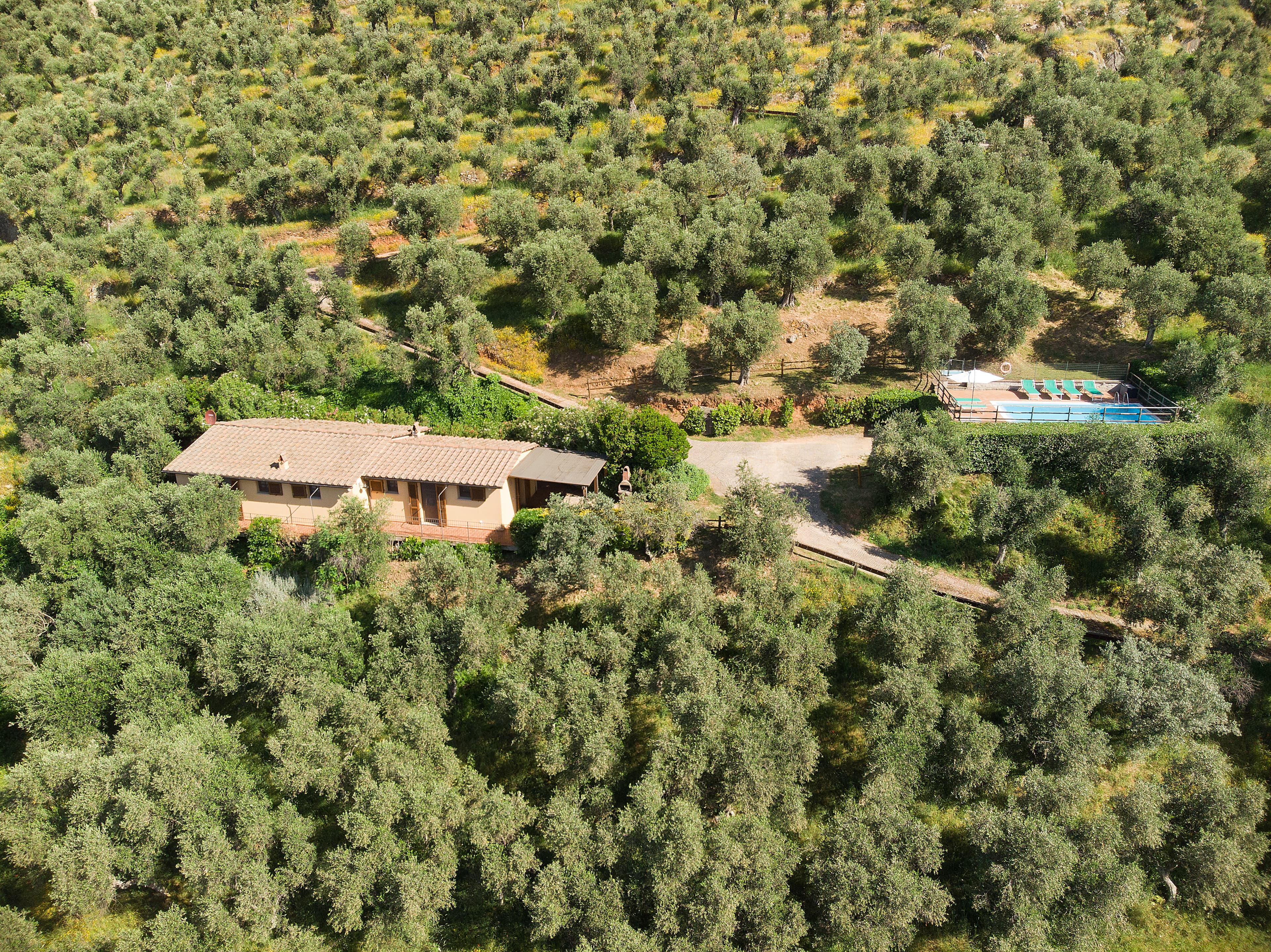 Oleandro villa at La Pieve