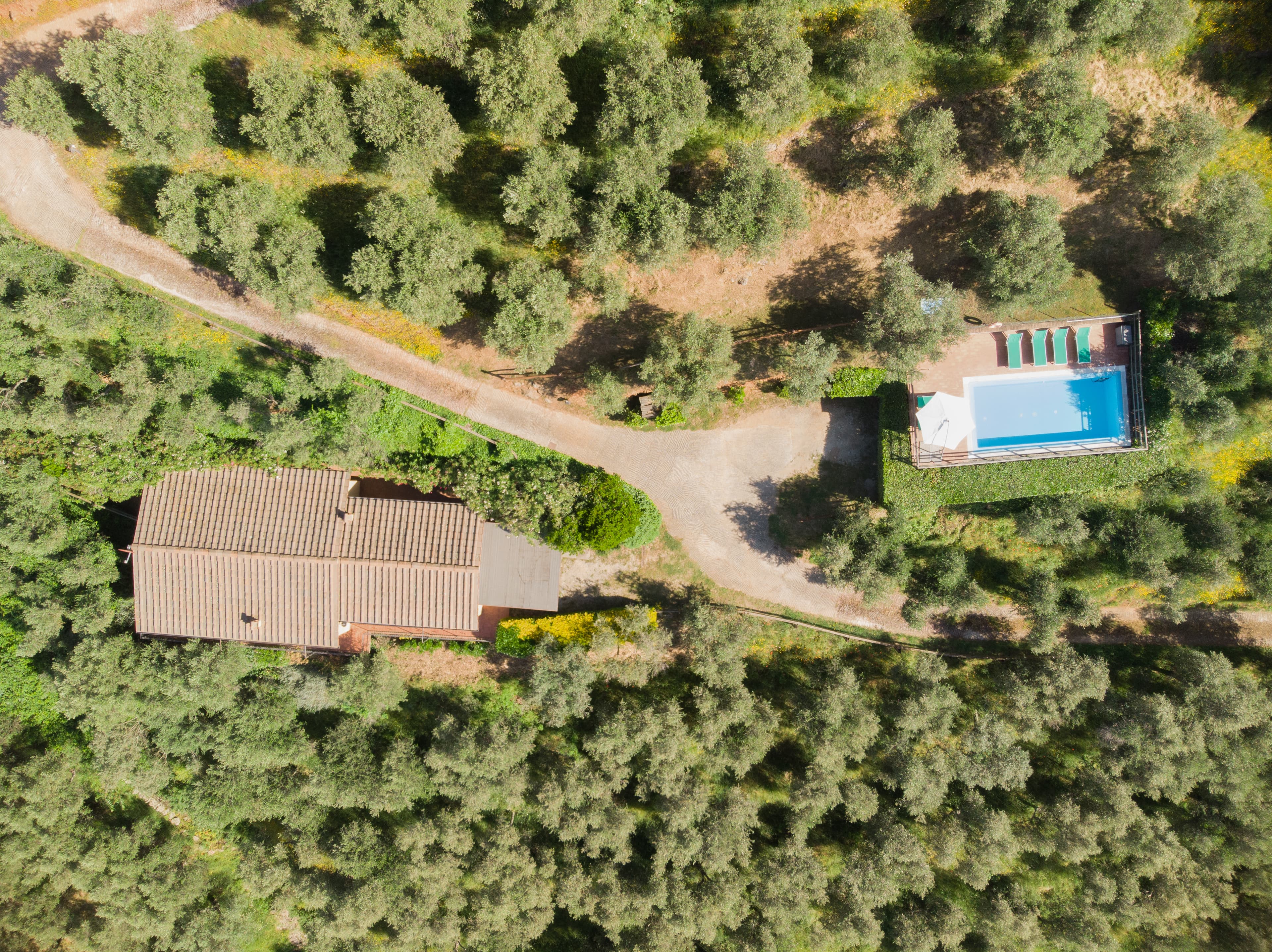 Oleandro villa at La Pieve