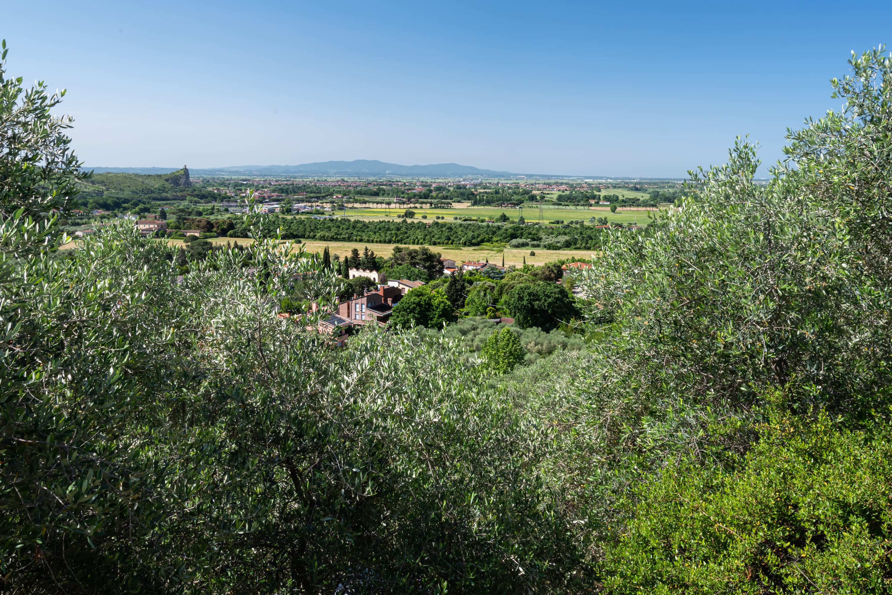 Vigna villa at La Pieve