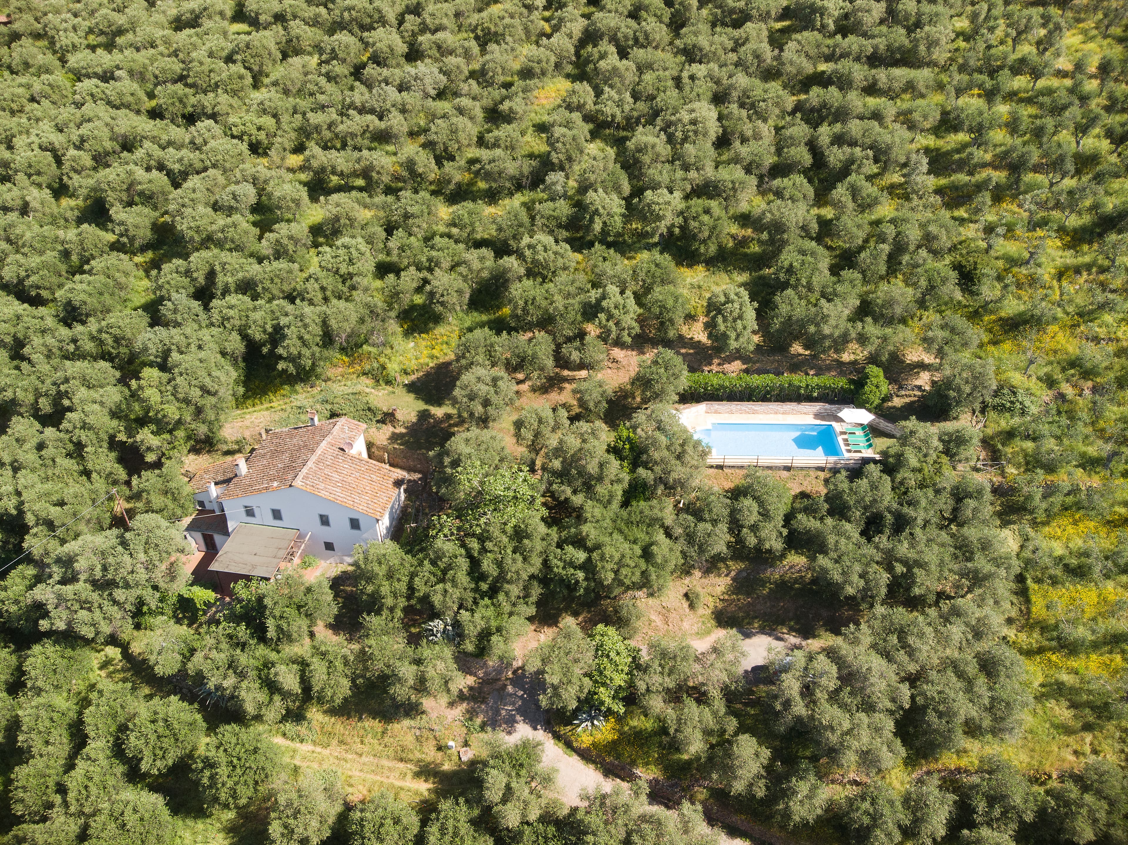 Vigna villa at La Pieve