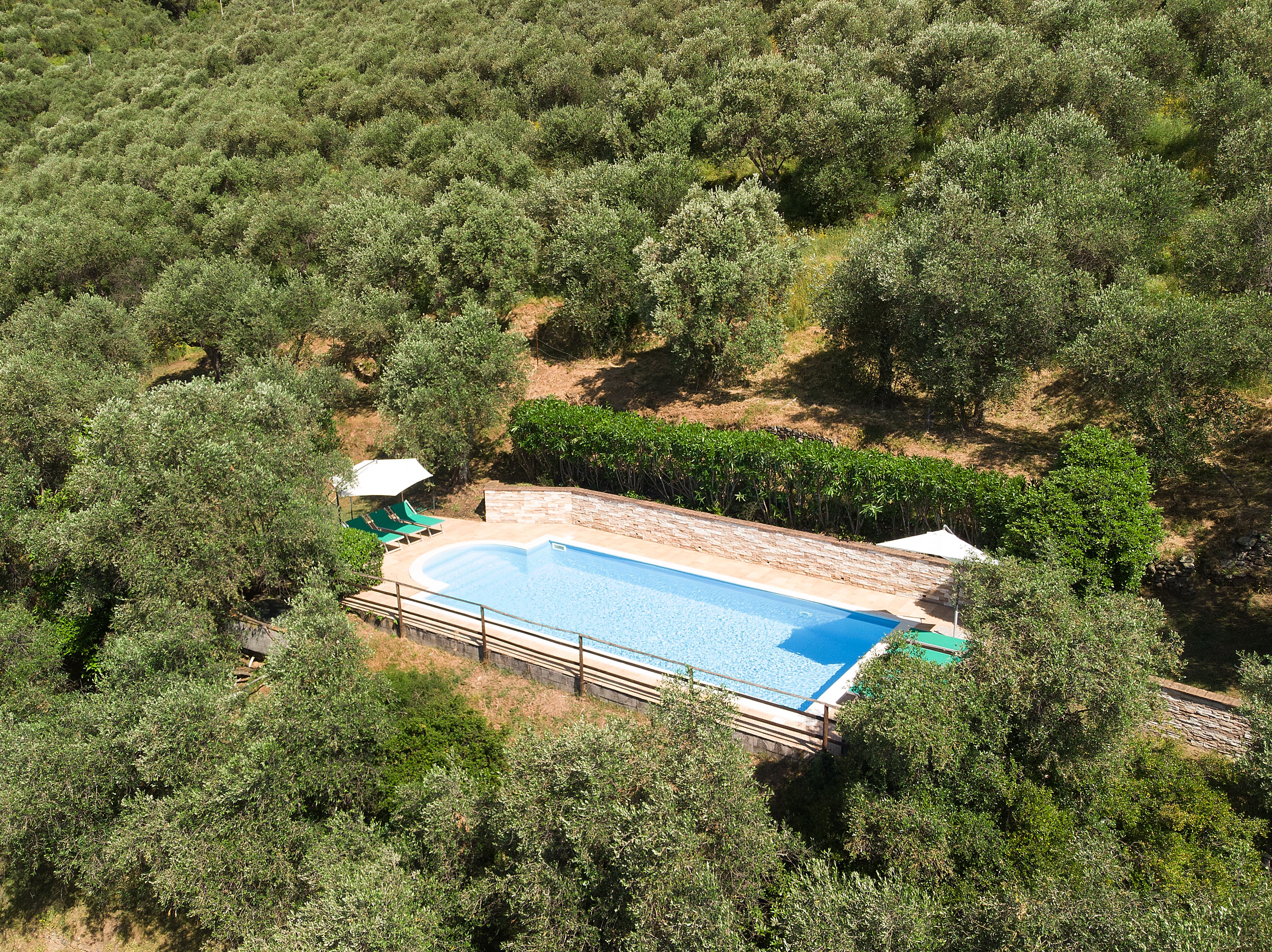 La Pieve, the houses and grounds